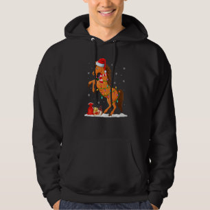 Horse Xmas Lights Santa Horse Christmas Hoodie