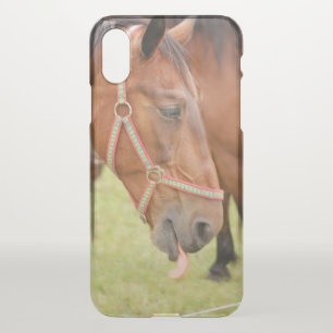 Horsehead 002 iPhone x case