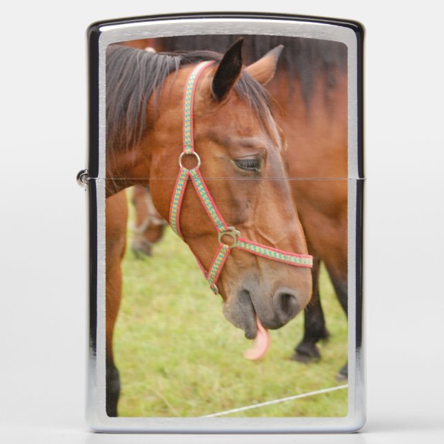 Horsehead 002 zippo lighter (Front)