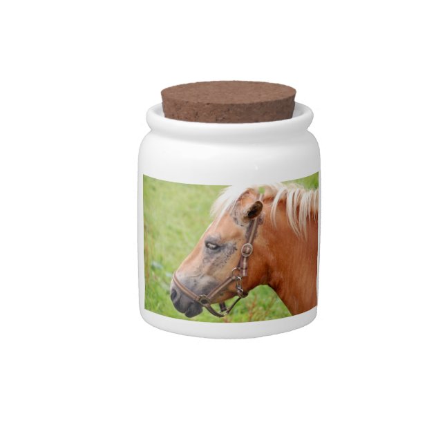Horsehead 003 candy jar (Front)