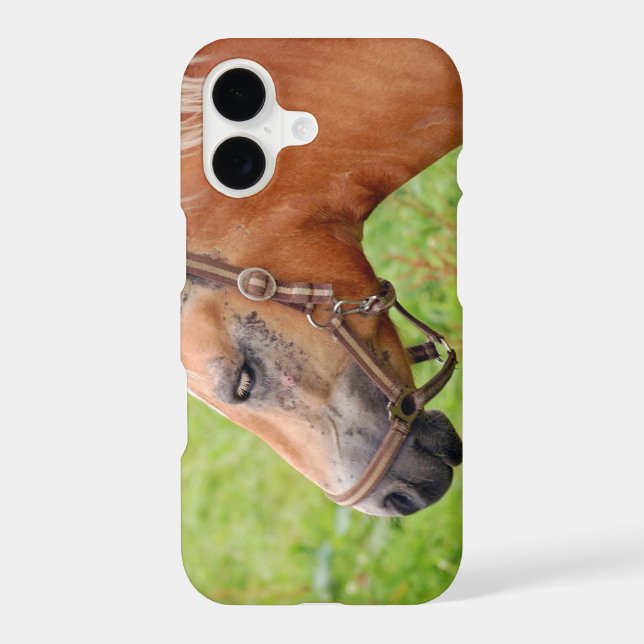 Horsehead 003 iphone case (Back)