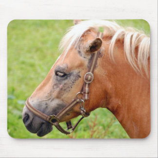 Horsehead 003 mouse pad