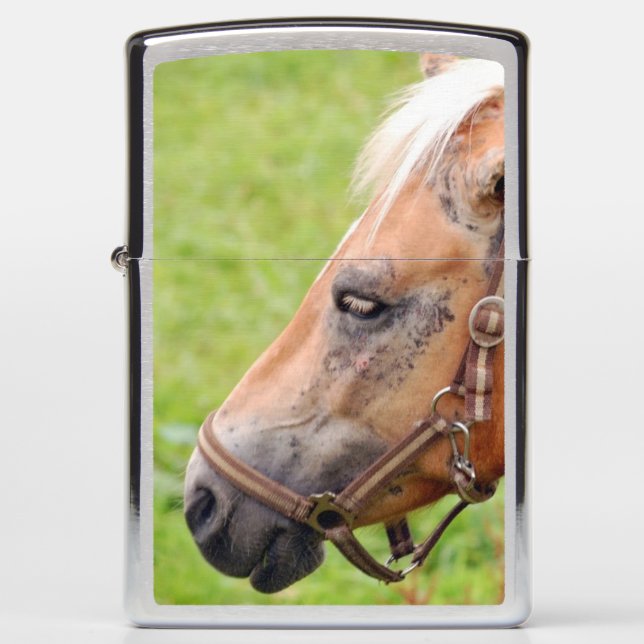 Horsehead 003 zippo lighter (Front)