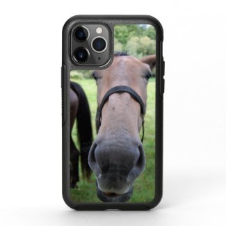 Horsehead 004 OtterBox symmetry iPhone 11 pro case
