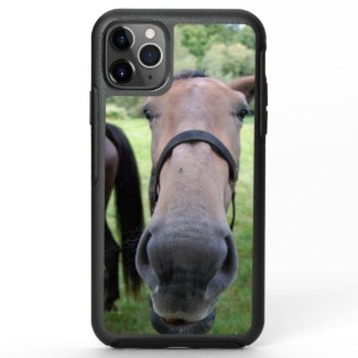 Horsehead 004 OtterBox symmetry iPhone 11 pro max case