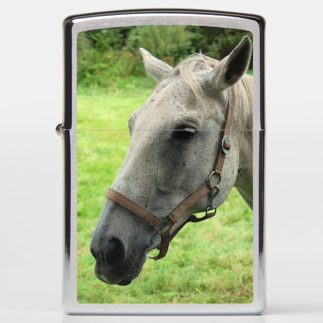 Horsehead 005 zippo lighter (Front)