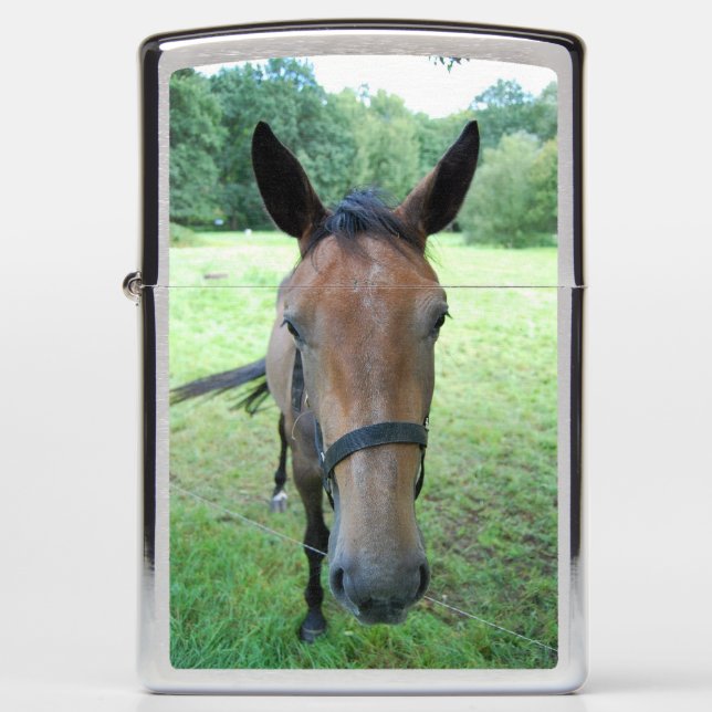 Horsehead 006 zippo lighter (Front)