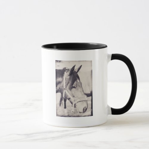 Horsehead 009 mug