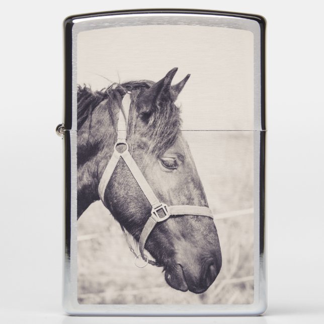 Horsehead 009 zippo lighter (Front)