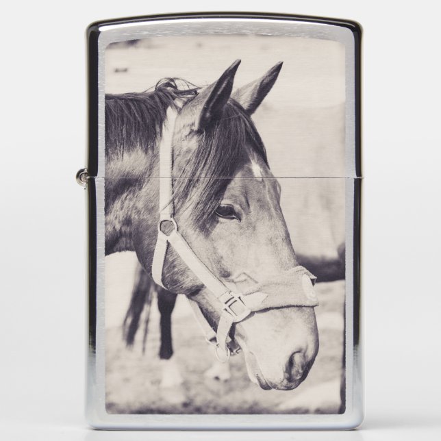 Horsehead 009 zippo lighter (Front)