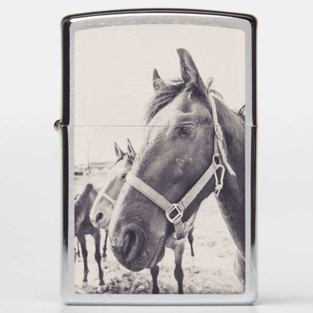 Horsehead 011 zippo lighter (Front)