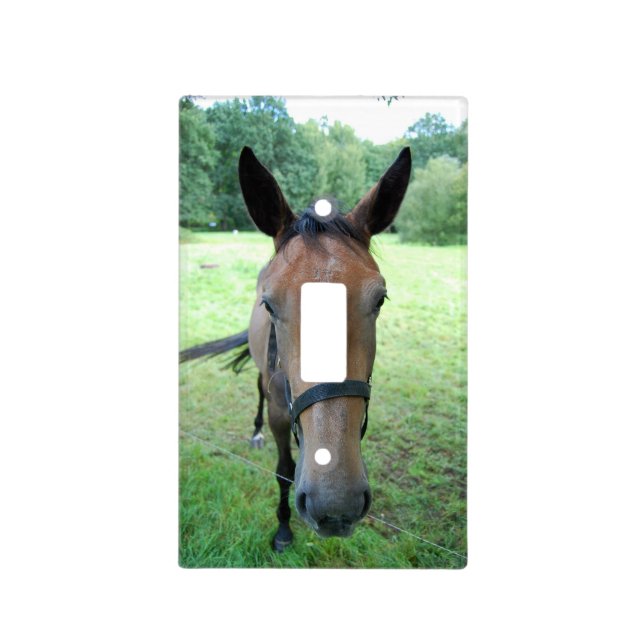 Horsehead Light Switch Cover (Front)