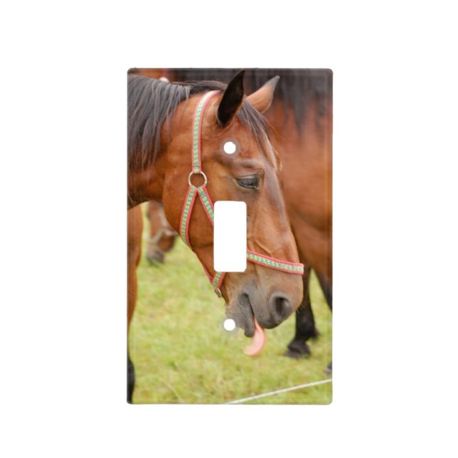 Horsehead Light Switch Cover (Front)