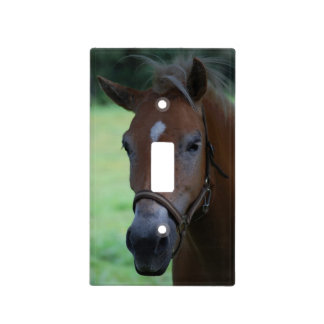 Horsehead Light Switch Cover