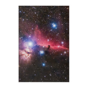 Horsehead Nebula Acrylic Print Cosmic Space Art