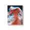 Horsehead Nebula Infrared - Hubble Space Photo