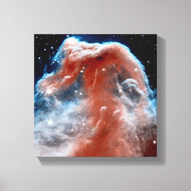 Horsehead Nebula Infrared - Hubble Space Photo Canvas Print (Front)