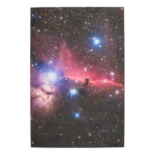 Horsehead Nebula Metal Art Deep Space Decor
