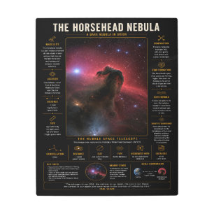 Horsehead Nebula Metal Print