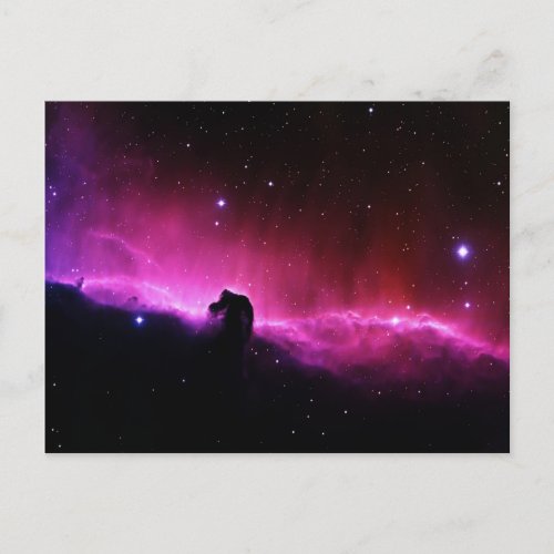 Horsehead Nebula Postcard