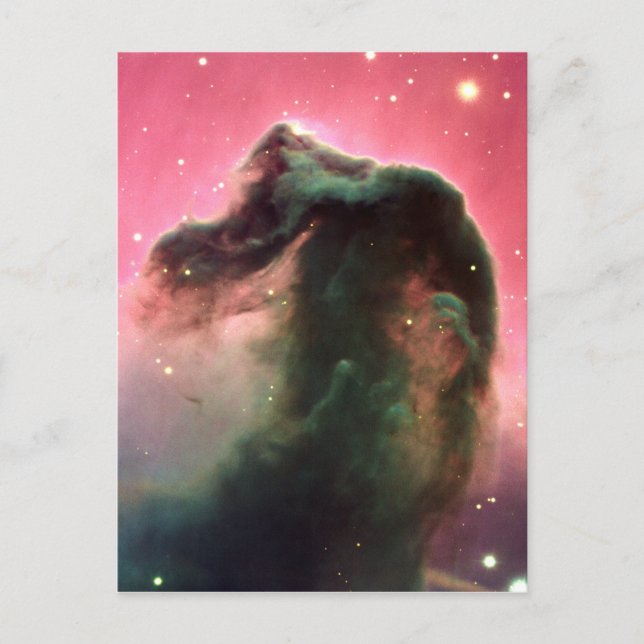 Horsehead Nebula Postcard (Front)