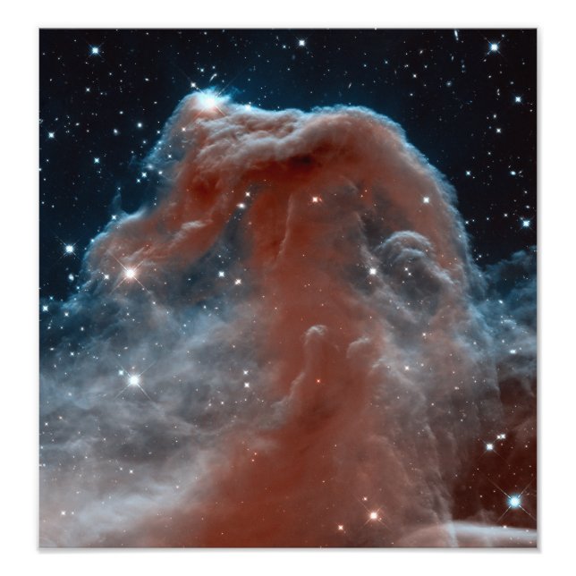 Horsehead Nebula Space Astronomy Photo Print (Front)