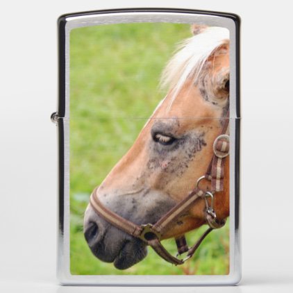 Horsehead Zippo Lighter