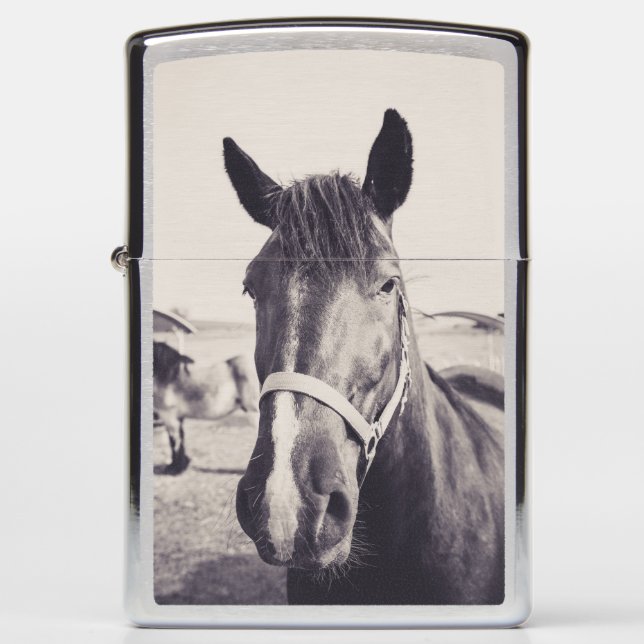 Horsehead Zippo Lighter (Front)