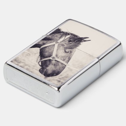 Horsehead Zippo Lighter