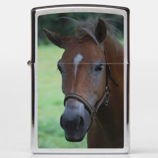 Horsehead Zippo Lighter