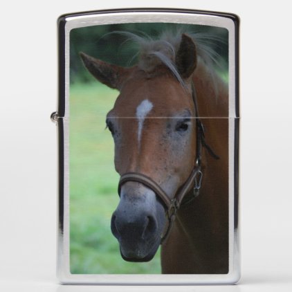 Horsehead Zippo Lighter