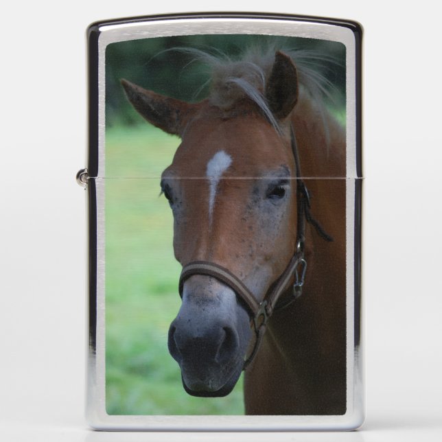 Horsehead Zippo Lighter (Front)