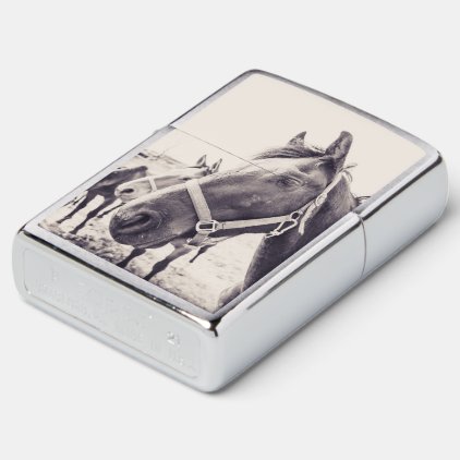 Horsehead Zippo Lighter