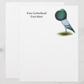 Horseman Pouter Pigeon Blue (Front/Back)