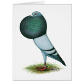 Horseman Pouter Pigeon Blue (Front)