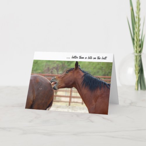 Horseplay Greeting Card