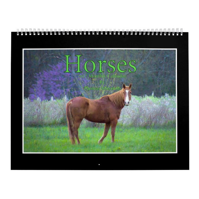 Horses 2017 Monthly Calendar By Thomas Minutolo (Cover)