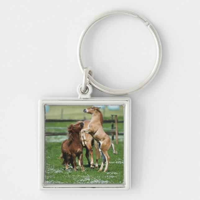 Horses 3 keychain (Front)