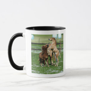 Horses 3 mug