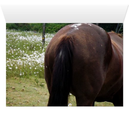 Horse's A** (Inside Horizontal (Bottom))