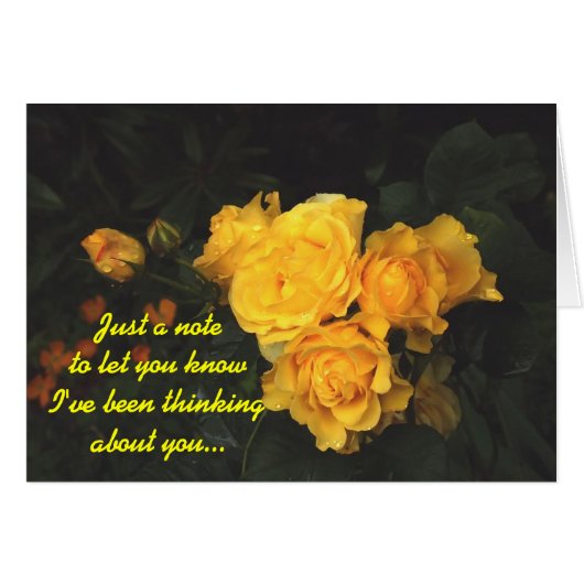 Horse's A** (Front Horizontal)