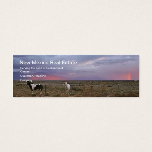 Customizable Horses After the Storm Business Card Template