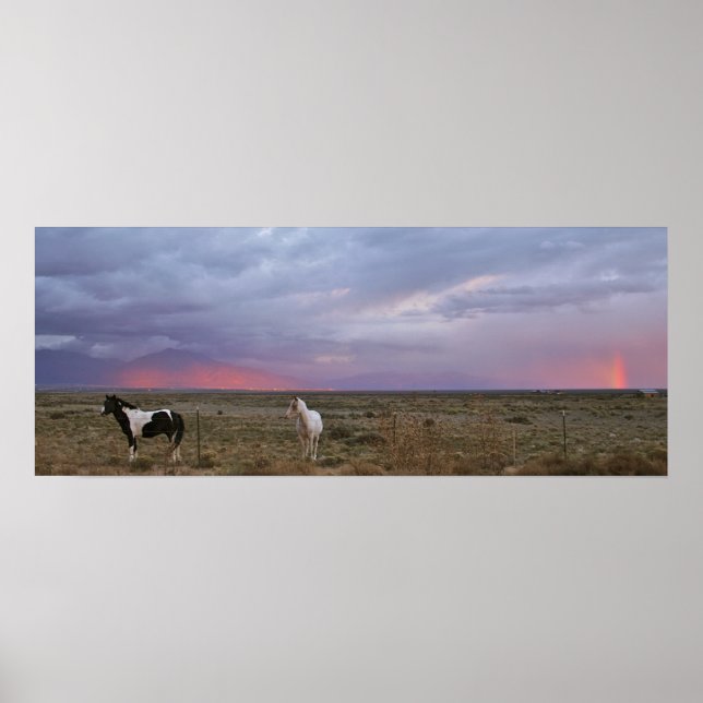 Horses After the Storm Poster (Front)