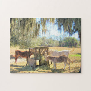 Horses and a Donkey - Farm Life Series - Puzzle