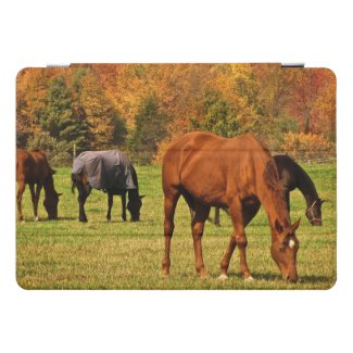 Horses and Autumn Foliage 10.5 iPad Pro Case