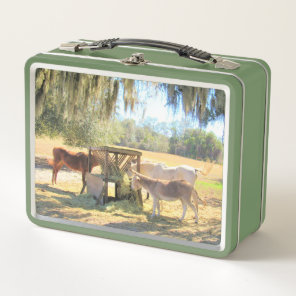 Horses and Donkey Lunch Time  Metal Lunch Box