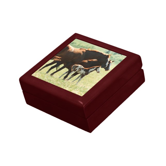 Horses and Foal Picture Jewelry Box (Side)