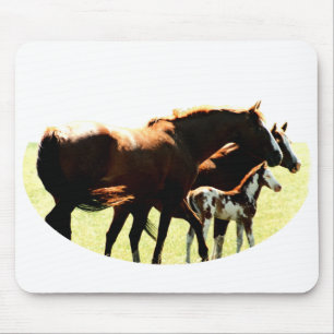 Horses and Foal Picture Mouse Pad
