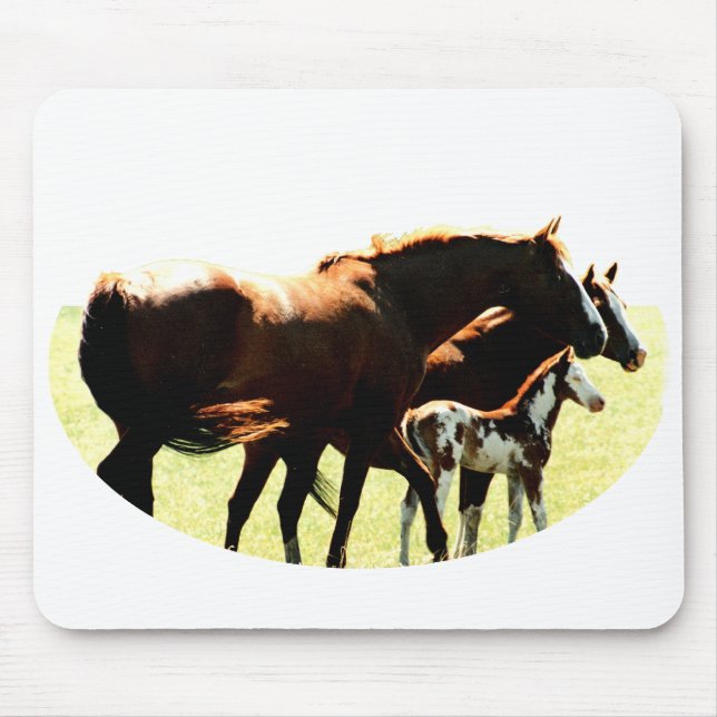 Horses and Foal Picture Mouse Pad (Front)