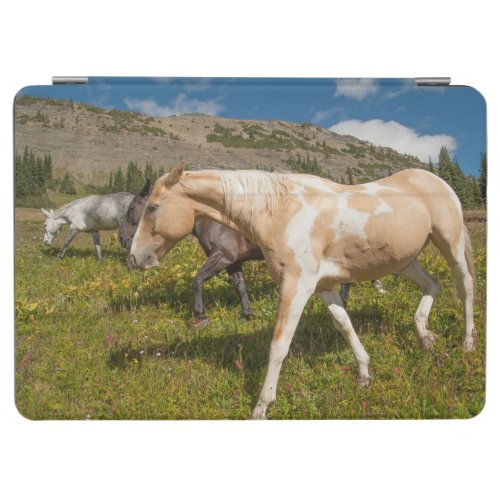 Horses and Mules iPad Air Cover
